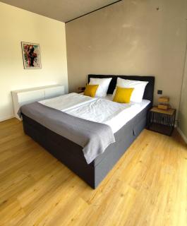 Tiny Loft Hunsrück - 3