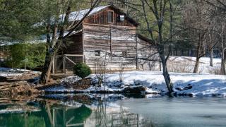 Project Chimps Historic Cabin - 8