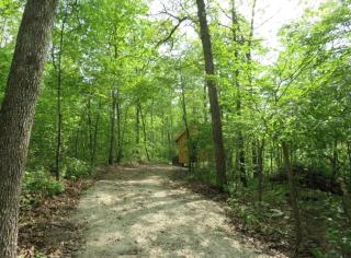 Rustic Cabin Rental with Stunning Forest Views in the Ozarks, Missouri - 6