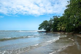 Soul Rebel Hostel - 8