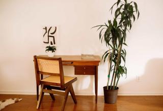 Mid-Century Modern Elegance in Hollywood with Parking - 7