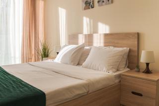 Atrium Apartments in New Gudauri ApartHotel - 8