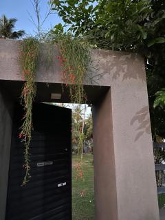 Little Rose Villa, Katuneriya - 7