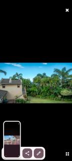 Mountain views - 7