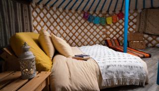 Yurt in Devon - 9