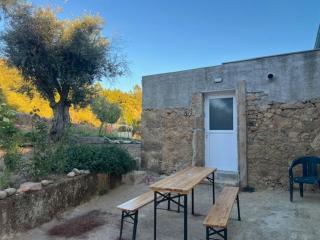 zion jardim - Bicas - 8