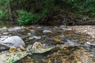 Two houses, 8 bedrooms, 4 King beds, 7400 sq ft - 7