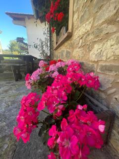 La Casa di Bianca - Intero appartamento - Collagna - 1