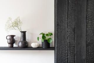 BLACKWOOD - Domaine insolite - 2