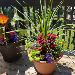 Privilege Mont-Tremblant - 1