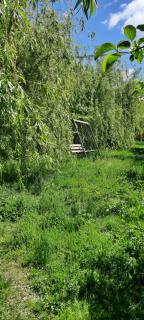 Uriner-Rest - 6