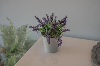 Lake View, Old Town, Balcony, Family & Couples APT - 4