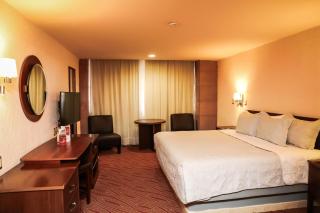 Hotel Real Plaza Aguascalientes - 9