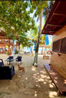Aquarius Diving Club y Cabañas - 0