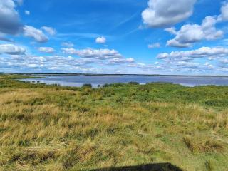 8 person holiday home in Hemmet - 3