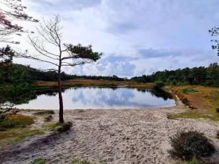 Luxury Retreat in Romo - By Traum Ferienwohnungen - 3