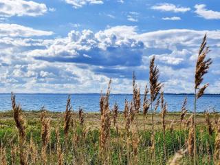 4 person holiday home in Assens - 1