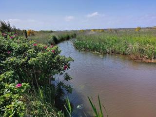 10 person holiday home in Tarm-By Traum - 1