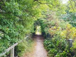 12 person holiday home in Fanø-By Traum - 1