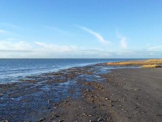 12 person holiday home in Fanø-By Traum - 4