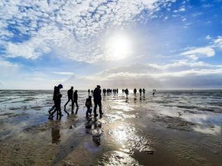 12 person holiday home in Fanø-By Traum - 1