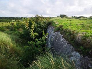 Luxury Pool House Retreat - By Traum Ferienwohnungen - 1