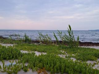 10 person holiday home in Haderslev-By Traum - 3