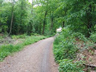 Luxury Retreat with Pool - By Traum Ferienwohnungen - 4