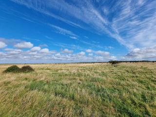 6 person holiday home in Hemmet-By Traum - 7