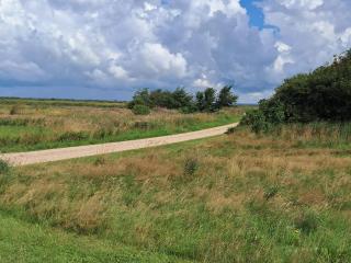 6 person holiday home in Hemmet-By Traum - 5