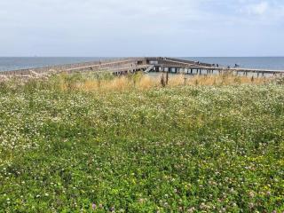 4 star holiday home in Hadsund-By Traum - 4