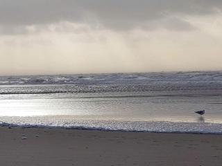 10 person holiday home in Oksbøl-By Traum - 1