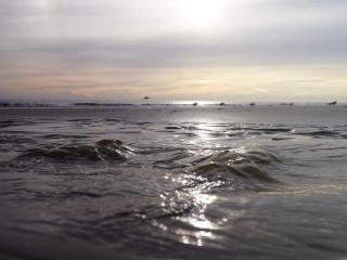 10 person holiday home in Oksbøl-By Traum - 2