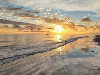 4 person holiday home in Fanø-By Traum - 4