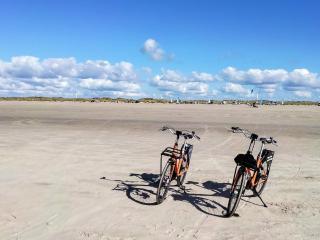 4 person holiday home in Fanø-By Traum - 2