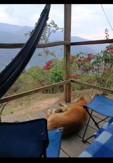 Cabañas Julio Crespo - Coroico - 5