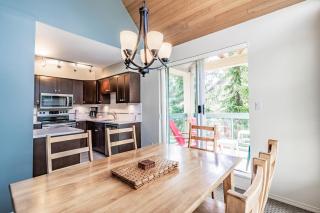 The Snowbird by Whiski Jack - 2