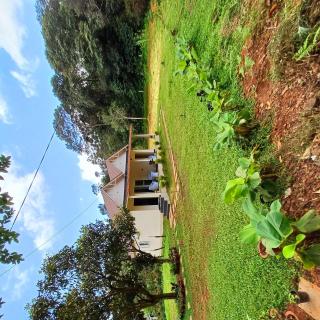 jungle jade coorg - 9