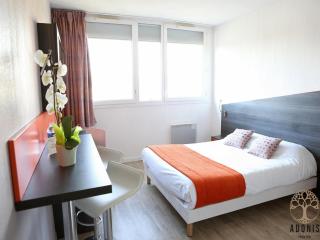 Comfort apartment near central Paris - 7