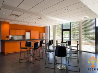 Adonis Dijon single apartment - 1