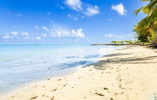 AQUA Terrazas Studio 3 - Beachfront, Pool, Local Fun & Dining - 7
