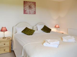 Wriggle View - Dbbm - 2