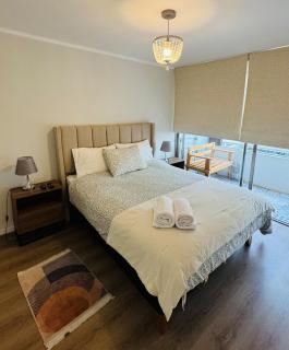 Providencia Apartment - 1