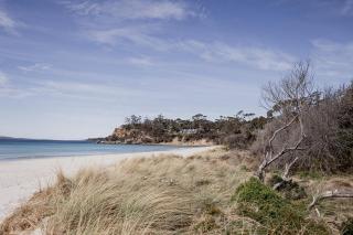 Spring Beach Rise - 9