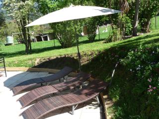 Lovely rural home near the Kahurangi NP - 7