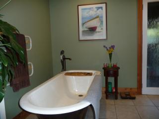 Lovely rural home near the Kahurangi NP - 5