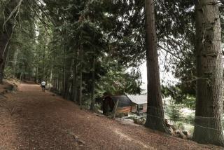 26 Alpine Avenue - 5