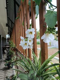 Surface Stay and Café - 4