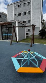 Standard Garden 01 - 4