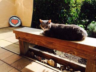 Taigh na Mara Bed and Breakfast - 3